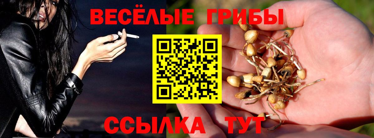 Псилоцибиновые грибы MAGIC MUSHROOMS Магадан