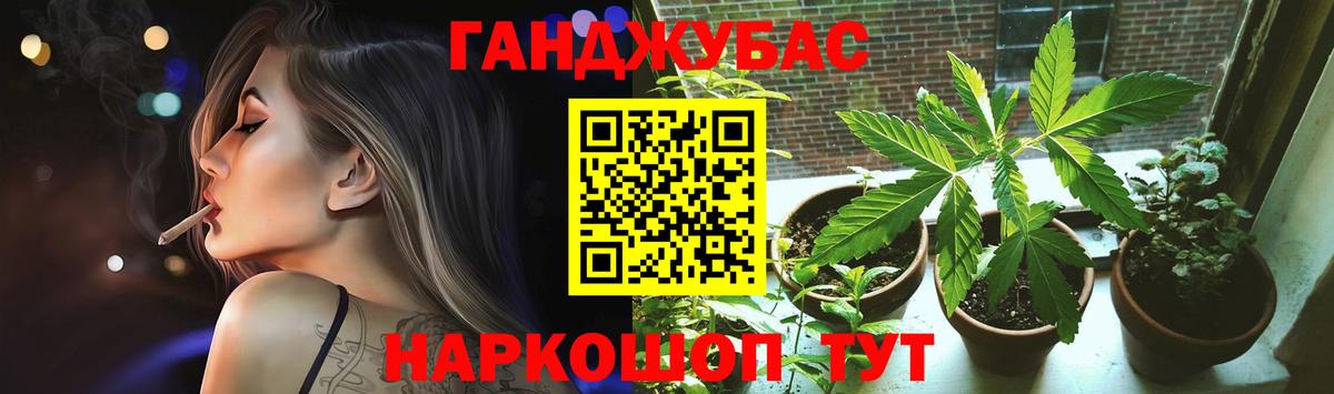 Каннабис сатива Магадан